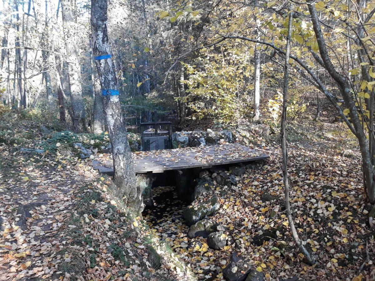Tiny House In The Middle Of Nature Окерсберга Экстерьер фото